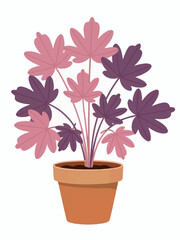 Beautiful Potted Plant with Pink and Purple Leaves Elegant Home Decor Illustration Botanical Artwork for Prints and Design Projects