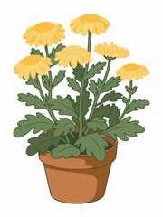 Charming Potted Chrysanthemum Illustration with Yellow Flowers and Lush Green Leaves Isolated on White Background in Detailed Artistic Style