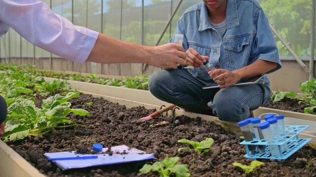 Teenage students studying and analyzing soil in research project, with scientists analyzing samples in greenhouse. Greenhouse experiments on soil nutrients. Practical training in agricultural lab