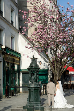 Paris, France. Europe  Wedding couple posing by cherry blossoms in bloom near Shakespeare and Company bookstore, Paris. Editorial