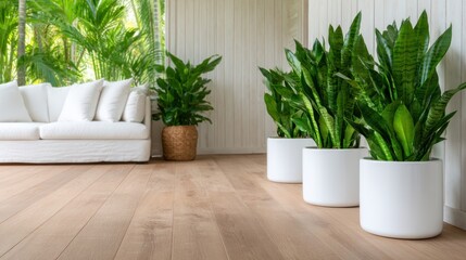 Bright indoor plants arranged in a serene room, showcasing harmony with nature and modern design, perfect for creating a calming atmosphere indoors.