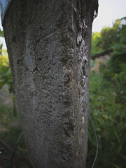 Closeup of an old concrete fence post with rough surface texture, captured outdoors in natural...