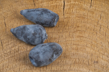 Lonicera caerulea berries