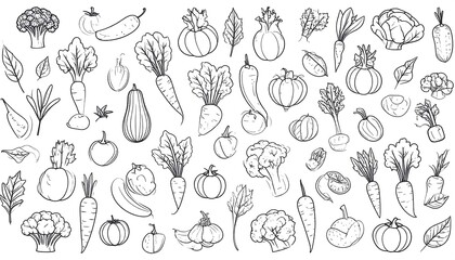 Fototapeta premium A collection of hand-drawn vegetable illustrations, displaying various types of produce in a black-line sketch style against a pure white backdrop.