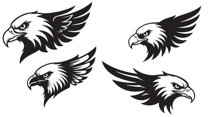 Fototapeta premium Flying Eagle and Wing Vector Set
