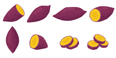 Sweet Potato vector. Sweet Potato on white background.