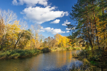 River water reflecting blue sky and white clouds, surrounded by dense autumn forest with changing leaves in vibrant yellow and green colors during a bright sunny day