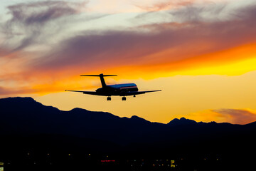 Sunset Landing: A Serene Flight Against a Vibrant Sky