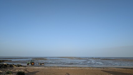 Tractor and trailer carrying oysters in metal bags at low tide, France