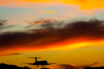 Sunset Landing: A Serene Flight Against a Vibrant Sky
