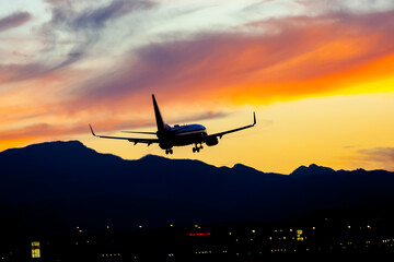 Sunset Landing: A Serene Flight Against a Vibrant Sky