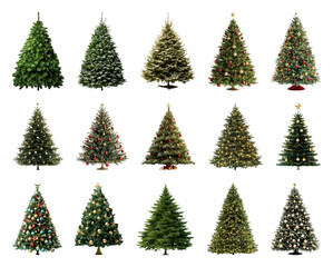 Fototapeta premium PNG Festive decorated Christmas trees collection, element set on transparent background