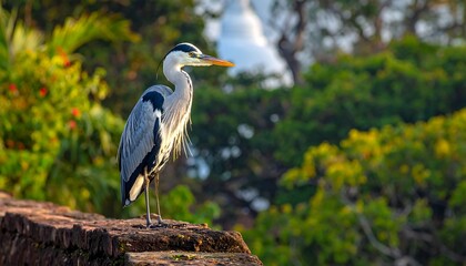 Fototapeta premium A majestic grey heron stands sentinel, its elegant form highlighted against a backdrop of vibrant foliage in a tranquil natural setting.
