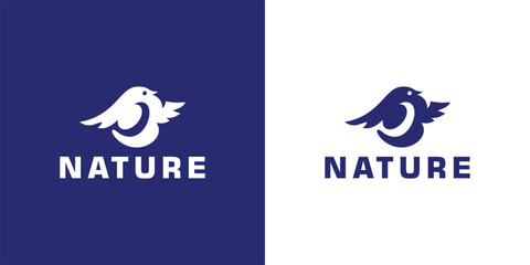 Classic Silhouette of Pigeon Dove Bird on Tree Branch for Nature 