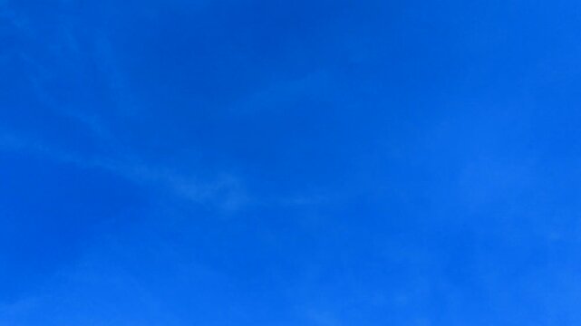 Soft blue backgrounds with moving shapes create a moody visual environment. Perfect for creative projects, music videos, presentations, intros, and artistic media.