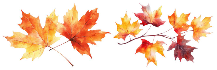 Fototapeta premium PNG Vibrant watercolor autumn leaves, element set on transparent background
