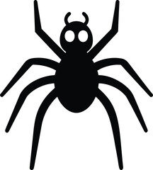 spider on a white background