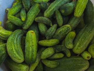 Top view of fresh organic cucumbers with natural texture, assorted shapes and sizes, perfect for healthy food concepts, farming and market backgrounds.