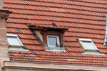 Traditional Tiled Roofs in France