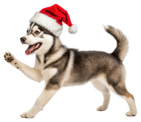 PNG Happy dog wearing santa hat husky puppy background.