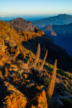 Scenic landscape of the Caldera de Taburiente on the trek near Roque de los Muchachos, La Palma, Canary Islands, Spain, Europe