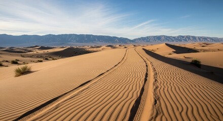 Vast desert landscape with sand dunes and mountain range under clear sky