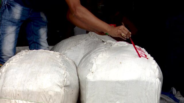 Hilsa Fishermen Marking Fish Sacks with Unique Codes and Numbers for Identification