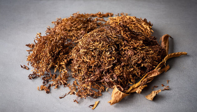 Dry Tobacco Leaves Prepared For Rolling Cigarettes On A Gray Surface