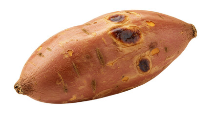 Sweet potato isolated on transparent background, raw yam with brown skin for healthy eating and cooking