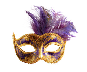 Elegant Venetian Mask with Feathers