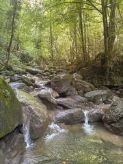 Water flowing on a river creek volcanic rocks on a deep forest in Girona