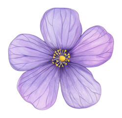 Obraz premium PNG Lavender flower illustration drawing petals.