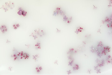 Lilac Flowers Floating in a Milky White Background