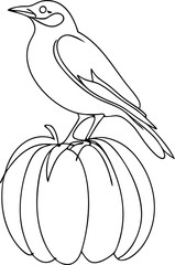 Continous line drawing line art a bird perched a pumpkin autumn fall