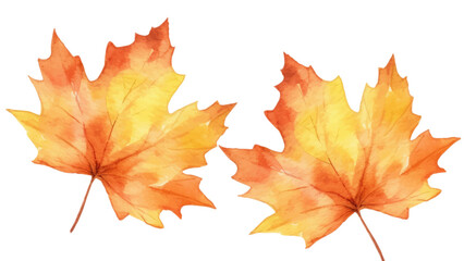 Watercolor autumn foliage illustration of seasonal maple leaves in yellow and orange for fall designs