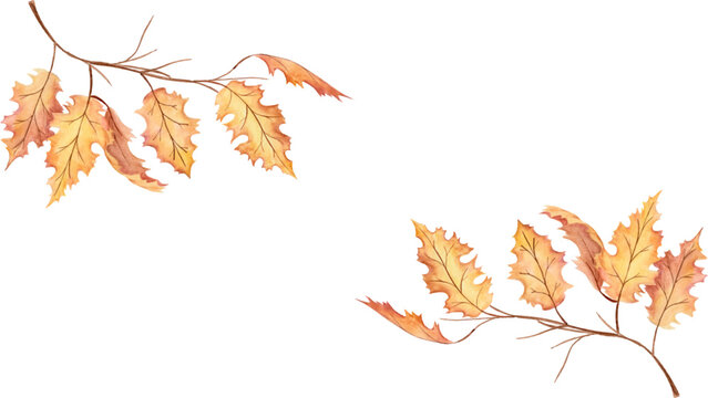 Watercolor autumn foliage illustration with oak leaves and branches for seasonal designs and decor ideas