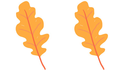 Two autumn leaves illustration vector graphic design element for fall season foliage and thanksgiving decor theme