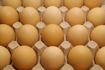 Fresh yellow chicken eggs in tray