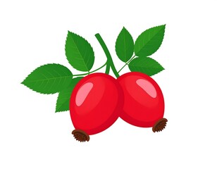 Two vibrant red rose hips on a stem with green leaves