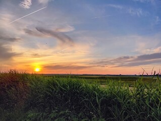 Serene Sunset Over a Vibrant Rural Meadow