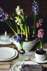 Floral cozy home decor for Easter holiday celebration. Fresh blooming spring hyacinth flowers. Beautiful house interior design, seasonal decoration