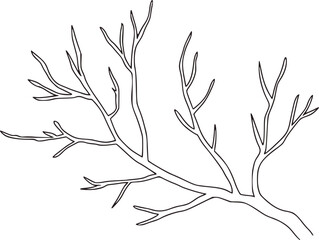 Bare branch structure with thin limbs twig outline