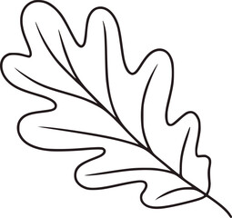 Single oak leaf outline nature autumn