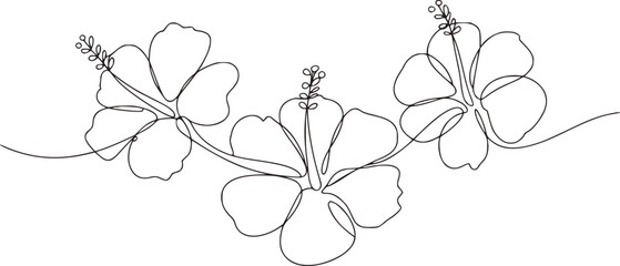 Three delicate hibiscus flowers drawn with a single continuous line floral single line drawing © Mehedy