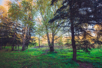 Autumn nature landscape. Sunny autumn forest. Beautiful colorful trees in woodland. Scenic wild nature in Hungary
