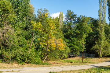 Landscape of South Park in city of Sofia, Bulgaria