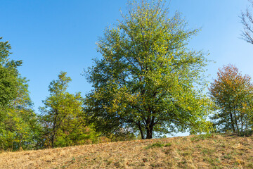 Landscape of South Park in city of Sofia, Bulgaria