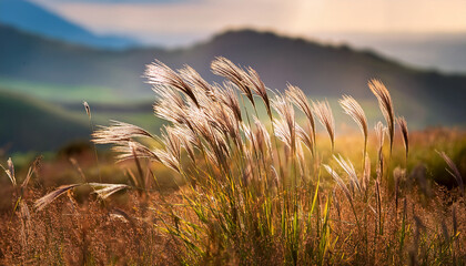 Wild Grass Seed Heads In Tanzania Countryside