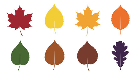 Obraz premium Autumn Leaves Palette