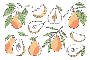 Set of hand drawn pears. Pear fruit set. Collection of pear sketches with colors. Illustration.